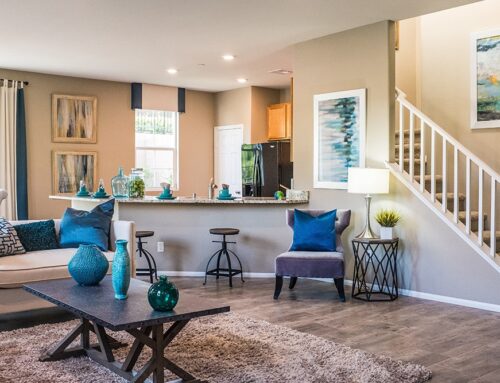 A Cat-Friendly Cottage